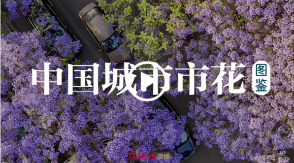 中国城市市花 ·商标· 鉴（上）