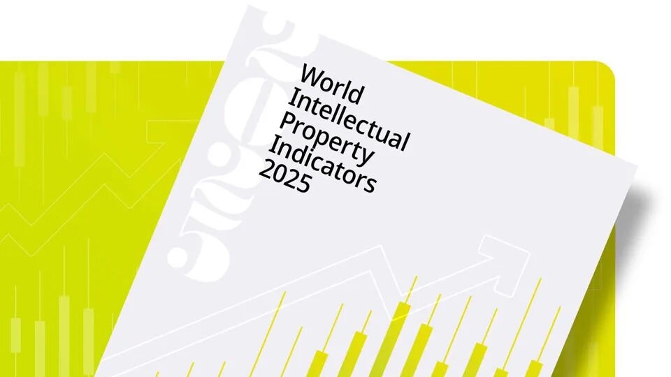 WIPO报告详读：2024年中国专利申请量增速大幅回升，国知局专利审查驳回率前十局最高（附报告）