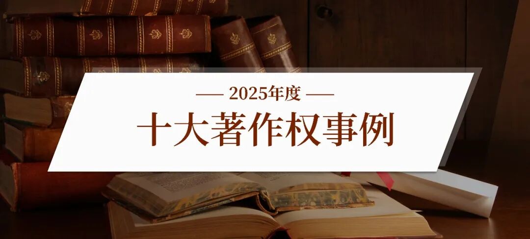 2025年度十大著作权事例点评 | 彭学龙：数字繁荣下版权生态的治理进路——评“视觉中国案”